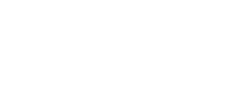 Logo IRSI Excelia Group